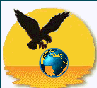 FalcoWeb.com